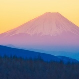 『年末年始の譲渡会について』の画像