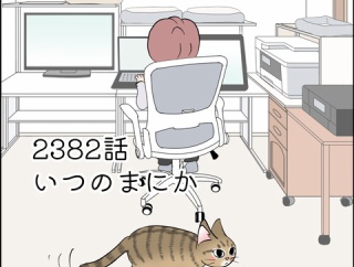 あんこ＆麦2382 いつの間にか