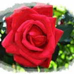 パソコンアート２