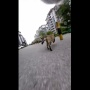 【動画】猫に首輪カメラをつけてみる ⇒ 想像以上に厳しい猫社会の現実がこちら・・・
