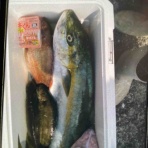 みなもと渡船のオフィシャルblog