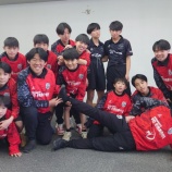 『春やね』の画像