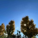 12月13日(土) (^O^)／