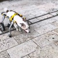 凪くん