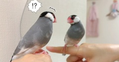 あれは誰！？