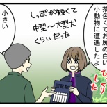 出会った野生動物の見分け方