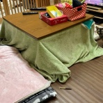 家をさがすのじゃ～～～～