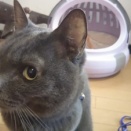 落ち着きました