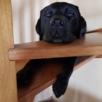 シャルバーグ八千代の＜フランスの田舎から＞