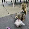 「風邪っぴき」確定らしい。😭😭😭