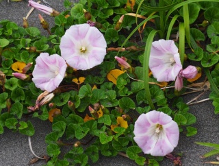 4月30日