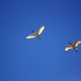 『続：女性性の抑圧　～はじまりは思春期？～』の画像