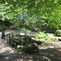 夏の旅6月７～羊蹄山の山麓はとっても自然豊か❗️京極町・倶知安町