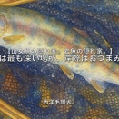 【フライフィッシング】本命は最も深い場所、岸際はおつまみ！？