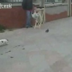 面白動画サイト　JP