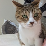 ももちゃんのおうち