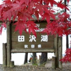 自由気ままな一人旅