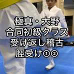 極真会館 神奈川相模原支部 ブログ