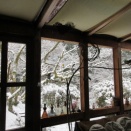 今年初めての雪景色