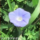 コーチの返球がきびしい