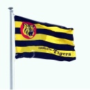 【阪神】保留者名簿からドリス、デュプランティエら外国人全員外れる