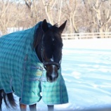 『期待』の画像