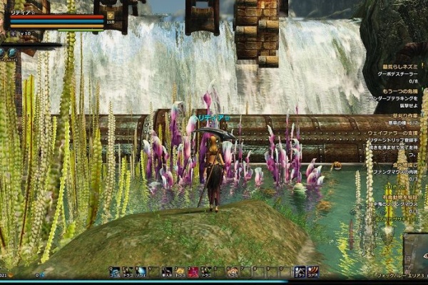 みどりんの囁き Dragon S Prophet ドラゴンズプロフェット