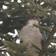 【日々の暮らし】あいつが待ち伏せてる！