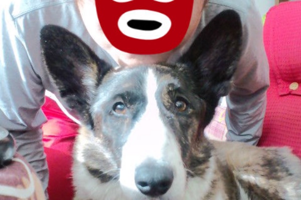 本日もい曜日 むーむーの独り言 本日もい曜日 むーむーの独り言