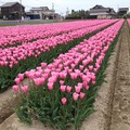 環水公園のス・タ・バ