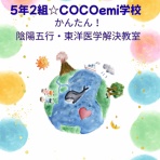            COCOemiブログ