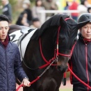 今週の出走愛馬 プリュノワール 福島 4歳以上1勝クラス 2026/4/11