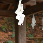 ピンちゃんのママのブログ