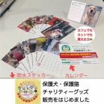 NPO法人みなしご救援隊犬猫譲渡センター東京支部のblog