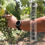 『「栗原の魅力ある生産現場を定期的に発信中！」 撮影地区：栗原市栗駒』の画像