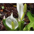 2025年11月13日の出来事