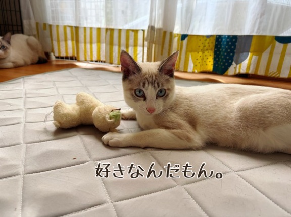 ラックくんのお友達