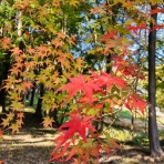 ヨーガ うみむすび