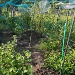 こうままの但馬ぐらし