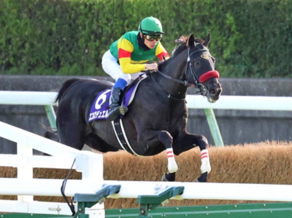 【中山グランドJ】エコロデュエル、レコード強すぎワロタ