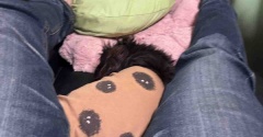 似たような画像ばかりでごめんなさい。