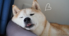 ますます似てきた。
