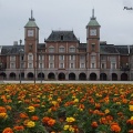 神戸フルーツフラワーパークの花々
