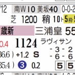 ハイブリッド競馬新聞