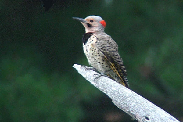 Walker Akiのblog 05年08月