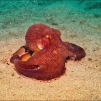 STAFF上田の日記