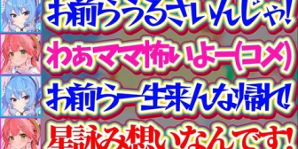 【ホロライブ】一部の星詠み達に『注意喚起を兼ねてブチギレる』すいちゃんを見て、慌ててフォローに入るビジパみこちw