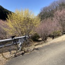 小川町の桃源郷までパトロールライド