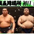 今日の高安関