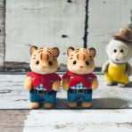 シルバニアの水たまり